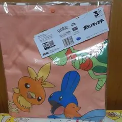 ポケモン プラチナムザッカトートバッグ ホウエン地方 ①