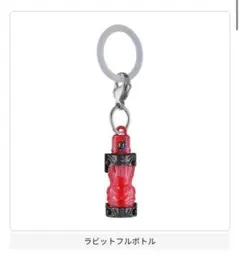 仮面ライダーめじるしアクセサリー3