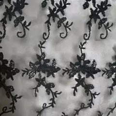 レースブラウス ブラック シアー 長袖 フリルネック 花柄 かわいい 上品