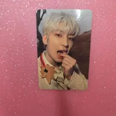 SEVENTEEN セブチ FACE THE SUN ウォヌ トレカ