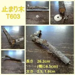 Item thumbnail for item 515e0eb6-8faf-47b4-aa87-fb2411c86c07