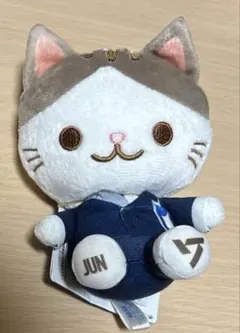 2025年最新】seventeen ミニぬいぐるみ junの人気アイテム - メルカリ