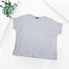 Ranan ラナン ワイドTシャツ カットソー 3L ライトグレー 大きいサイズのサムネイル