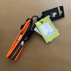 Item thumbnail for item 4be51af3-b874-4a1c-ac7d-e52f1a8d5d59