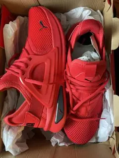 PUMAスニーカー　26cm