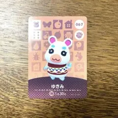 どうぶつの森 amiiboカード ゆきみ 067