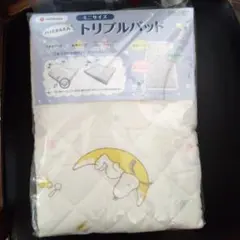 Item thumbnail for item aefc5114-ba75-42f6-878a-4b786fcf9afa