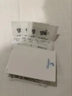 遊園地・テーマパークチケット 4枚セット