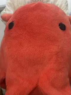 メンダコぬいぐるみのサムネイル