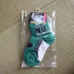 鉄下 H5系はやぶさ キッズ靴下 15-21cm