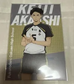 ハイキュー!! ポストカード 梟谷学園 赤葦京治