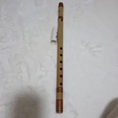 Item thumbnail for item c17d4031-3f95-476b-aa57-fe960757569e