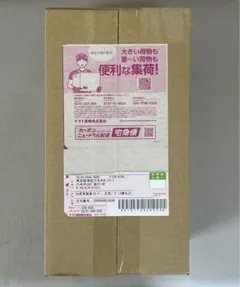 ポケモンカードゲーム スペシャルBOX ポケモンセンターフクオカ 新品未開封