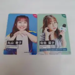 橋本吉幸様 リクエスト 2点 まとめ商品