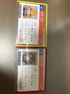 雪*ぎ様 東方project 腕振学園 学園えーりんグッズまとめ売り 学生証