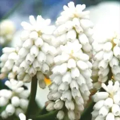 たくちゃん様 リクエスト 3点 まとめ商品