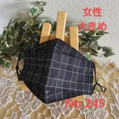 大人　女性　大きめ　ハンドメイド布マスク　No.245　播州織り