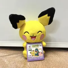 タグ付き　ポケットモンスター　サン&ムーン　つれてって　ピチュー　ぬいぐるみのサムネイル