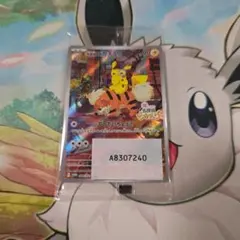 ポケモン ポストカード ピカチュウ発売記念 他 206/XY-P ピカチュウ： スペシャルBOX メガリザードンXのポンチョを着