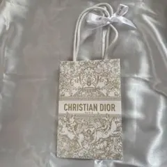 CHRISTIAN DIOR ショップ袋 小型