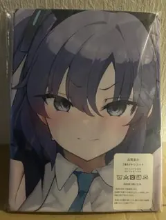 ガレリア×なちょ猫 コラボ ノートPCケース 甘城なつき Nachoneko