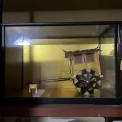 金色の飾り車