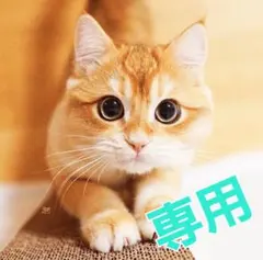 イラスト かわかみ様専用