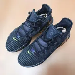 NIKE LEBRON WITNESS 6EP 'BLACKVOLT' 26.5のサムネイル