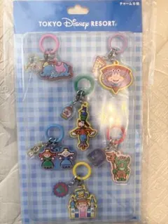 最終価格！新品未使用！ディズニーリゾート　チャーム6個　めじるしアクセサリー