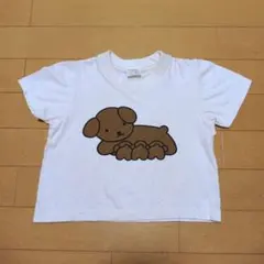 Item thumbnail for item 30182d81-f5a4-4672-83c1-33b52b6f5798