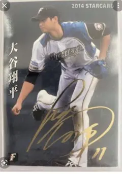 Item thumbnail for item 8d3e89e4-2db0-4102-8149-604a111c985b