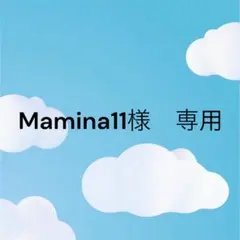 Mamina11様専用