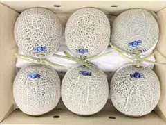 高知県産　温室マスクメロン6玉入り 約9.1㎏（下箱込み）のサムネイル