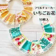 フリルチョーカー10枚　いちご　お花　トリミングチョーカー (B-56)