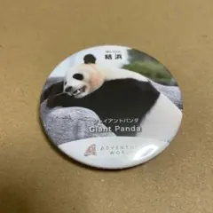 2025年最新】アドベンチャーワールド結浜の人気アイテム - メルカリ