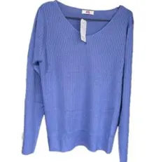 新品タグ付きRyuRyu 薄手リブニット Vネック 長袖 LLサイズ ブルーLL