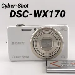2026年最新】SONY DSC WX170の人気アイテム - メルカリ