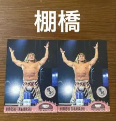 Item thumbnail for item 0545d4ef-f9e9-4059-9eee-a7101cfc573f