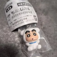 クレヨンしんちゃん カラフルマルチチャーム2