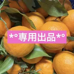 ローズマリー様専用 *°清見オレンジ デコポン*°