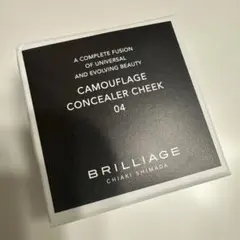 【新品】BRILLIAGE カモフラージュコンシーラーチーク 04のサムネイル