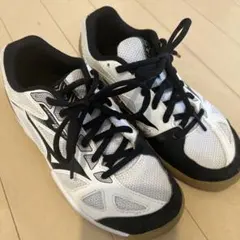 Mizuno バレーボールシューズ