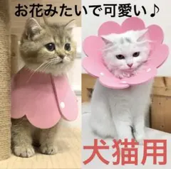 新品 犬猫用 ソフト 着脱便利 傷舐め防止 引っ掻き防止 ピンク Sサイズ