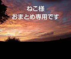 ねこ様おまとめ専用です