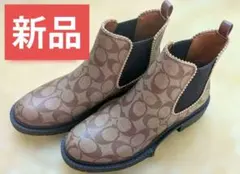 Item thumbnail for item 67c035dd-c977-494f-b2da-d248a4ecbfc2