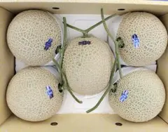 千*丸様 高知産 約10kg 贈答用 5玉 大玉マスクメロン 秀品 北海道 