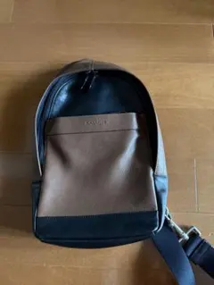 最終値下げ】COACH キャンバス レザー ハドソン パック ミニリュック 