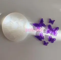 A0060シリコンモールド　デコパーツ　蝶々 バタフライ　トレカケース　レンジ