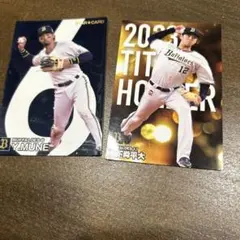 Item thumbnail for item cd2f3f1d-aa28-42c3-938e-19b32fcd6431