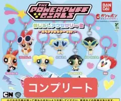 【匿名発送】新品未開封‼️パワーパフガールズ　めじるしアクセサリー2 コンプリート